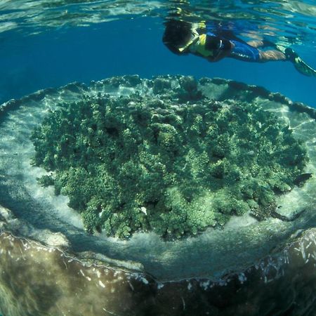 Hotel Sal Salis Ningaloo Reef Exmouth Exteriér fotografie