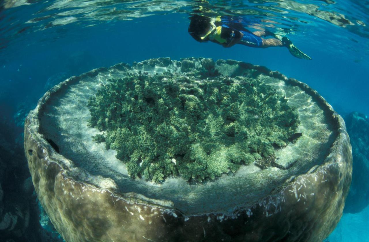 Hotel Sal Salis Ningaloo Reef Exmouth Exteriér fotografie